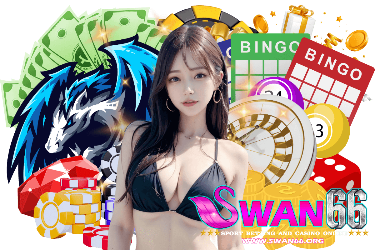 swan66 สมัคร
